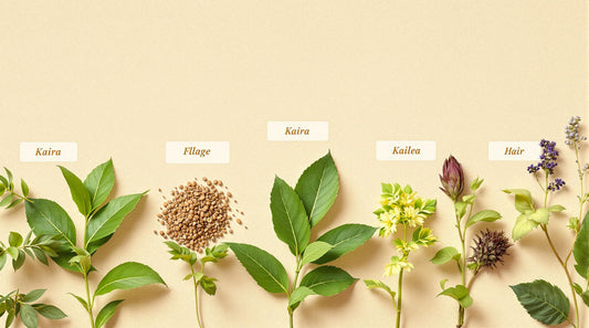 7 Natural Herbs for Hair Follicle Stimulation