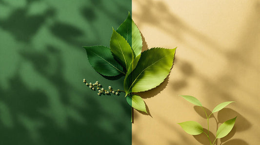 Neem vs. Brahmi: Best Herb for Spring Hair Growth